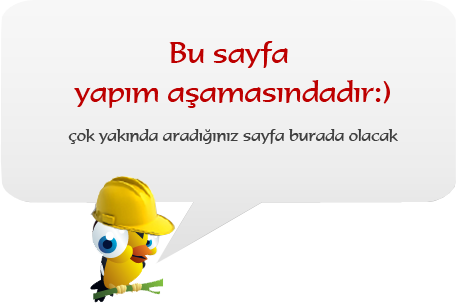 <strong>BİLGİ!</strong> Ürünler Yüklenmek için hazırlanıyor.